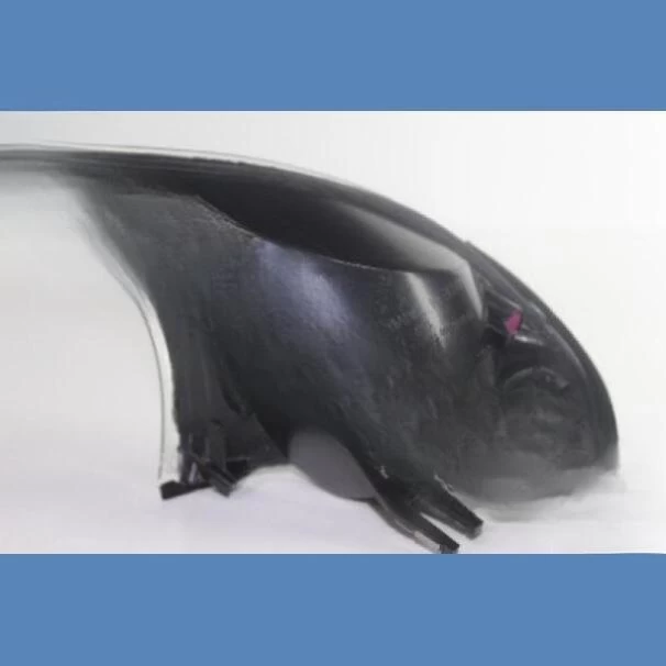 BMW E46 Indicator For Sale in Kenya (1998-2006)