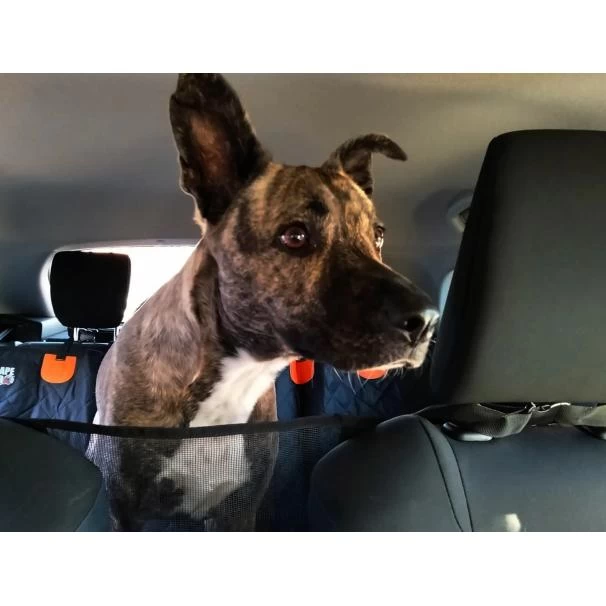 Dog Car Seat Cover and Protector for Sale in Kenya - Premium Grade